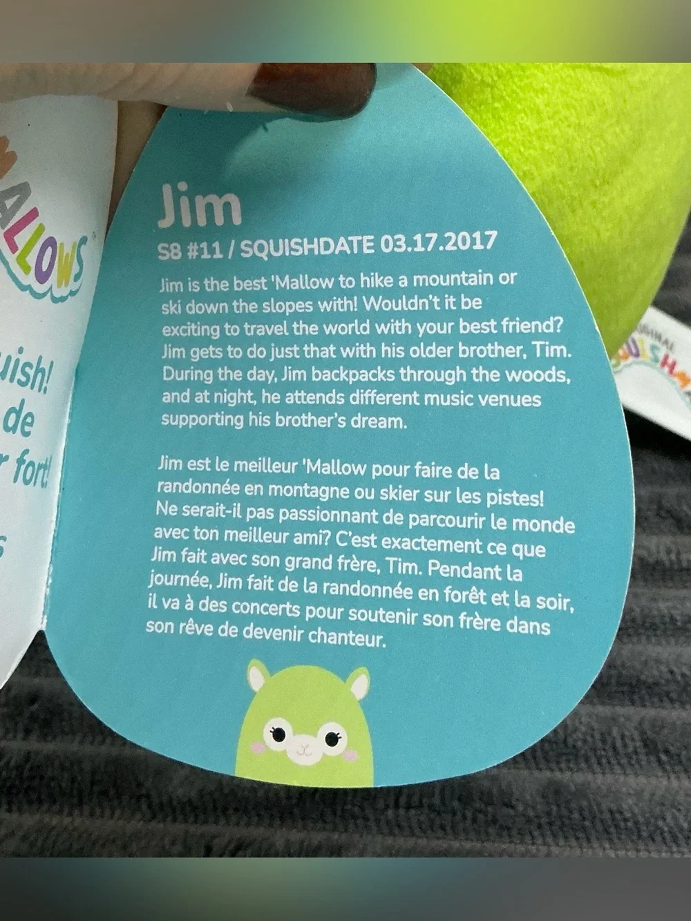 Original Squishmallows 8” Jim The Llama Alpaca Plush Green Brand New With Tags